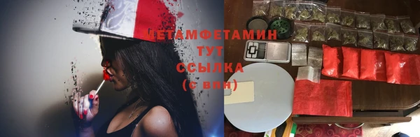 эйфоретик Няндома