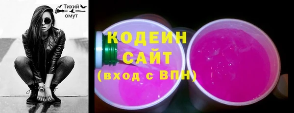 эйфоретик Няндома