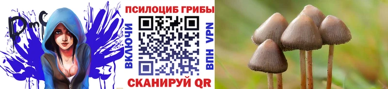 Галлюциногенные грибы мицелий  Купить где  Искитим 