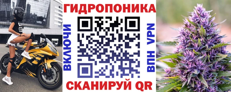 Купить Искитим Бошки марихуана марихуана