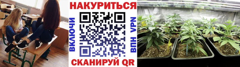 Шишки марихуана конопля Искитим